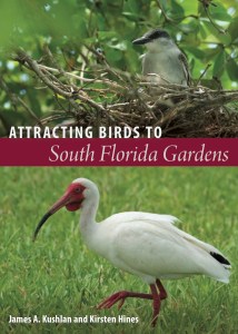 AttractingBirds