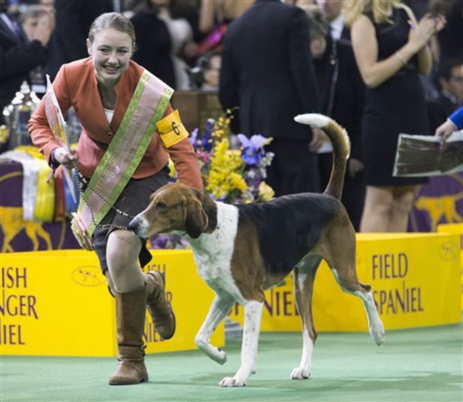 3b2f583cf86222212f84237ad6fc8d5763ace066-tc-img-preview