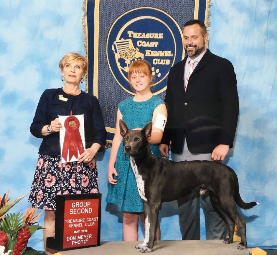 13235817_10154222451989429_226815213_n