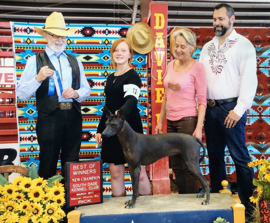 17523295_10209610754169419_3477889859371938609_n