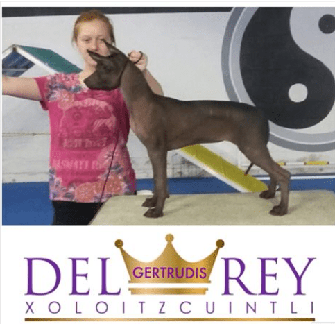 Screen Shot 2017-11-05 at 11.50.25 AM